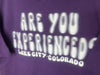 1990’s Lake City Colorado “Are You Experienced?” - XL
