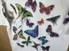 2000 Butterflies “Ohiopyle State Park” - Medium