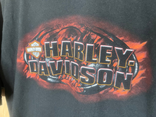 2008 Harley Davidson “Gatto” - XL