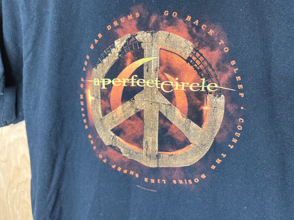 2004 A Perfect Circle “Go Back To Sleep” - Small