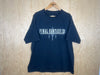 2006 Final Fantasy XII “Fight For Dalmasca” - XL