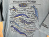 2000’s Whales Of The World - Large