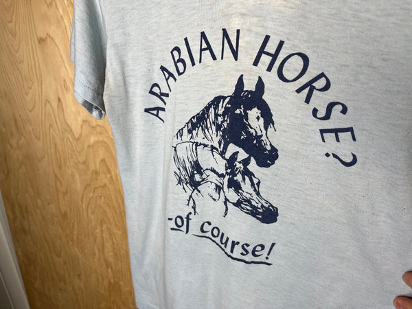 1980’s Arabian Horse? Of Course! - Medium