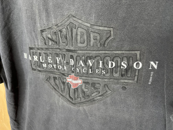 2001 Harley Davidson “Laughlin River Run” - Large