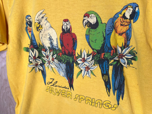 1980’s Silver Springs Florida “Parrots” - Large