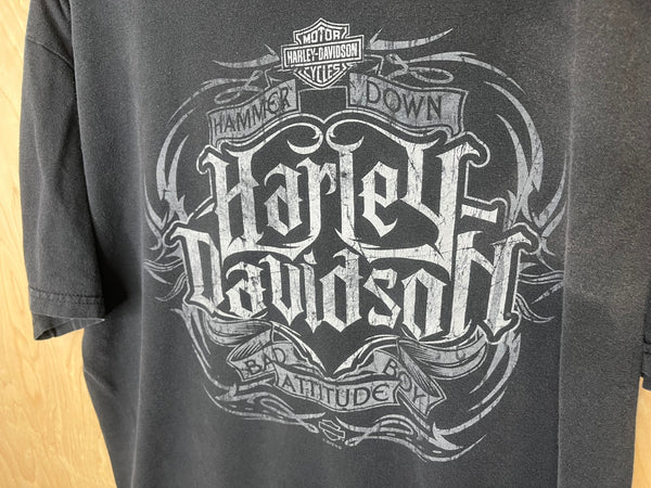 2012 Harley Davidson “Hammer Down” - XL