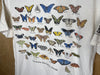 2000’s Carnegie Science Center “The Butterfly Guide” - Large