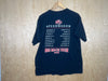 2008 REO Speedwagon “Big Rock Tour” - Large