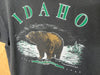 1996 Idaho “Northern Wilderness” - Medium