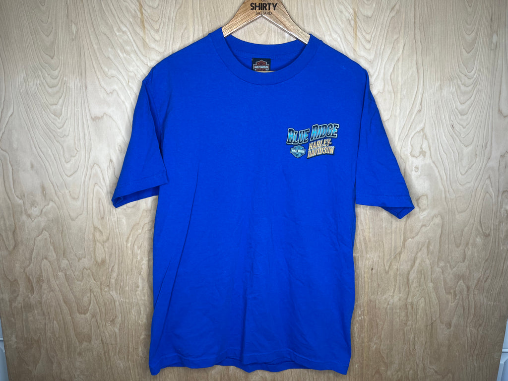 2016 Harley Davidson “Blue Ridge, North Carolina” - Large