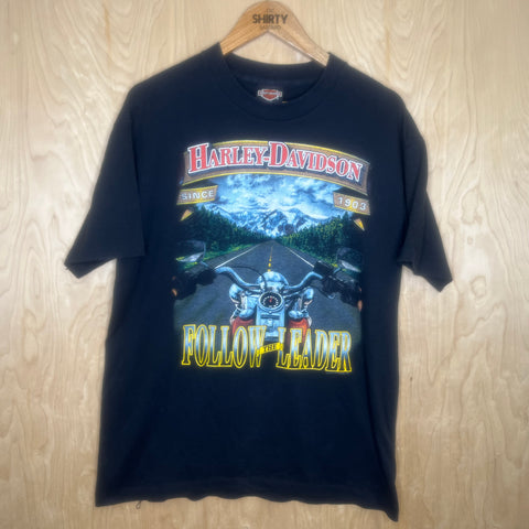 1992 Harley Davidson “Follow The Leader” - Large