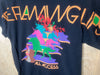 2010’s The Flaming Lips “All Access” - Small