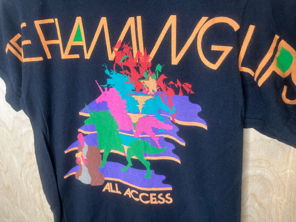 2010’s The Flaming Lips “All Access” - Small