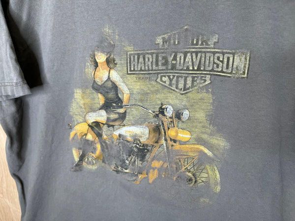2010’s Harley Davidson “Seattle, WA” - Large