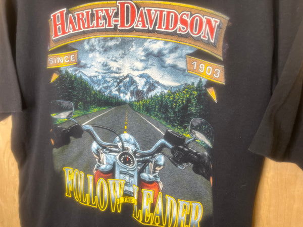 1992 Harley Davidson “Follow The Leader” - Large