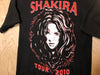 2010 Shakira Tour - Small