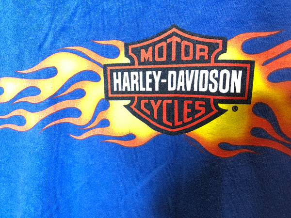 2000 Harley Davidson Gulf Coast New Port Richey, FL “Blue Flame” - Medium