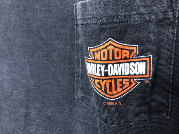 2002 Harley Davidson New Smyrna “Beach” - Large