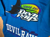 1995 Tampa Bay Devil Rays Salem Sportswear “Big Logo” - Large