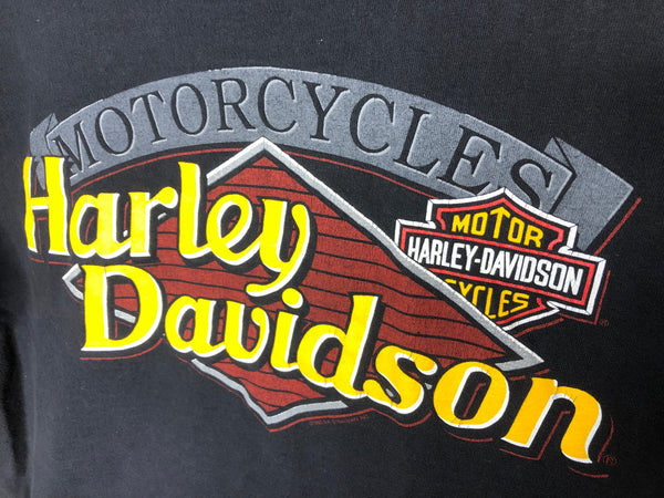 1993 Harley Davidson “Wilmington DE” - Large