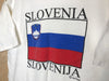 1990’s Slovenia Flag