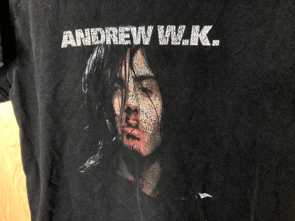 2000’s Andrew W.K. “I Get Wet” - Small