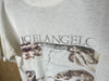 1990’s Michelangelo “Sistine Chapel” - XL