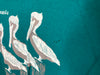 1988 Sarasota Florida “Pelicans” - Large