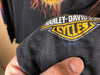2000 Harley Davidson Dallas, Texas “Flaming Eagle” - Large