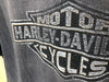 2000’s Harley Davidson “Emblem” - Large