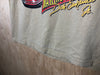 2000 NASCAR Dale Earnhardt Jr “Making A Run” - Large