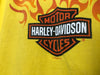 2000 Harley Davidson “Flaming Logo” - Large