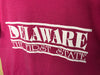 1980’s Delaware “The First State” - Large